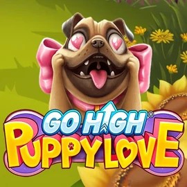 Try Go High Puppy Love slot by RubyPlay on spinit-casinos.es – logo image